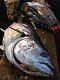 На Цукидзи продаются каждый день 450 видов морепродуктов